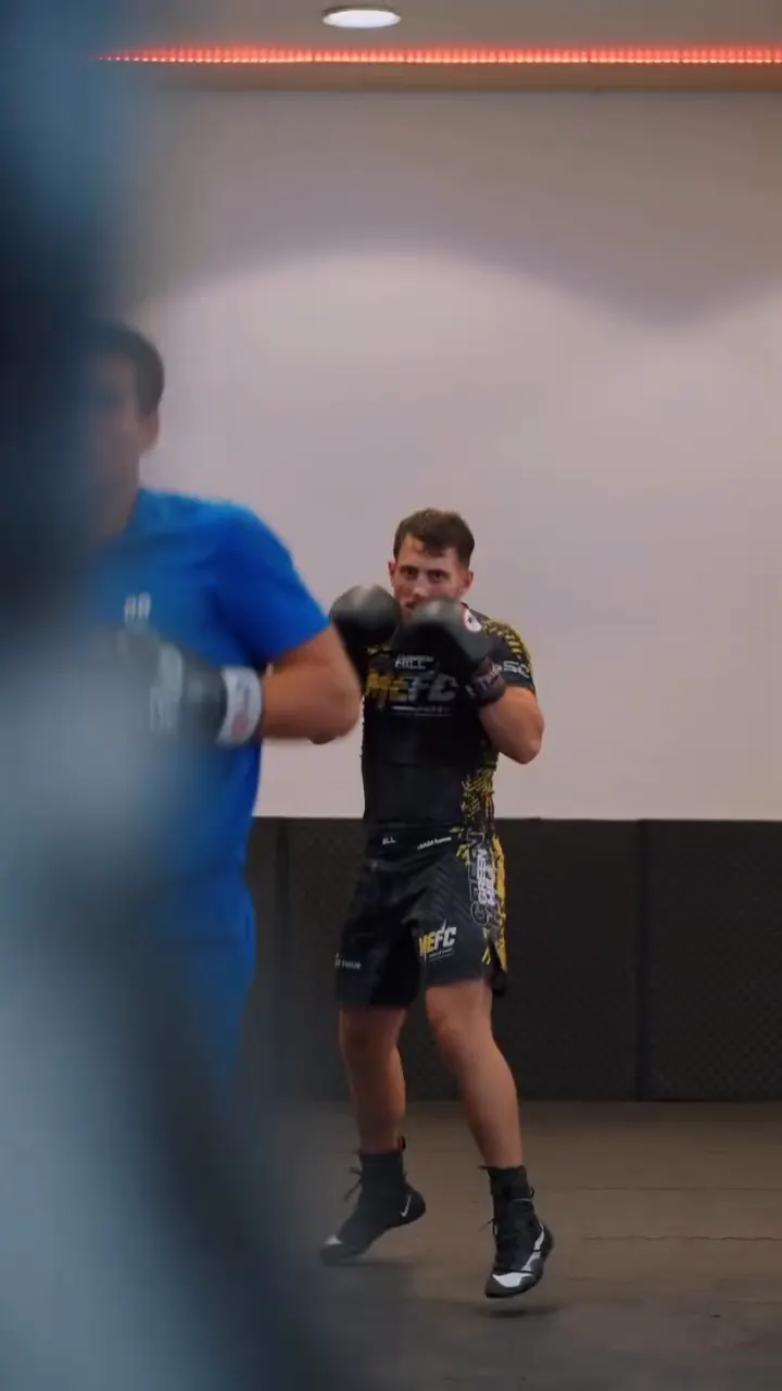 Zwei Boxer im Sparring